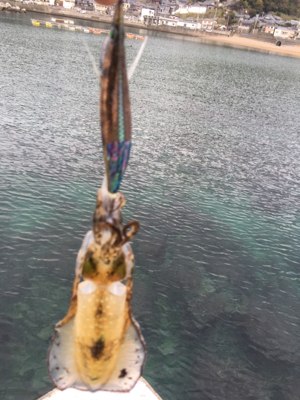 修行が足りてません