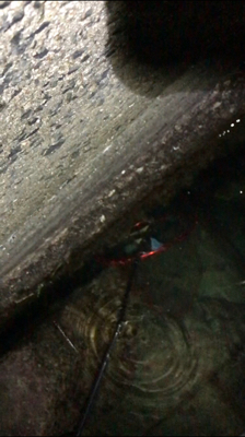 激シブでした…