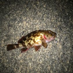 寒さに負けず！