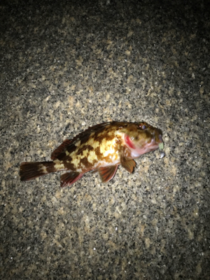 寒さに負けず！