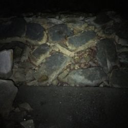 今シーズンのメバル狙い