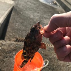 大荒れの南港魚釣り公園