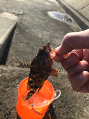 大荒れの南港魚釣り公園