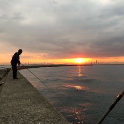 ハマちゃん。かな？