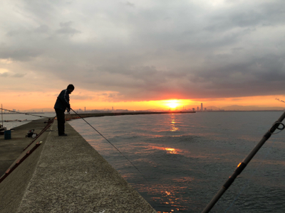 ハマちゃん。かな？