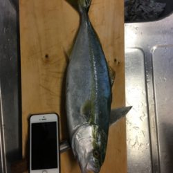 イナダナブラ！