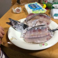 今年の納竿 タチウオ