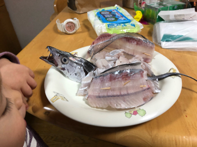 今年の納竿 タチウオ