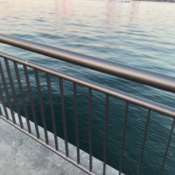 気温3℃何とか1匹