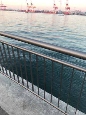 気温3℃何とか1匹