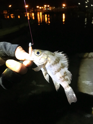 ちょっとだけよ