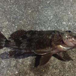 アタリ少なかったけど…