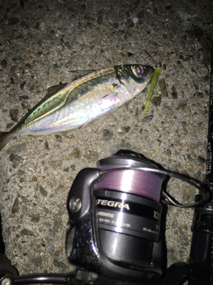 newエステルラインで！