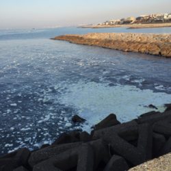 激渋です‥‥‥‥。