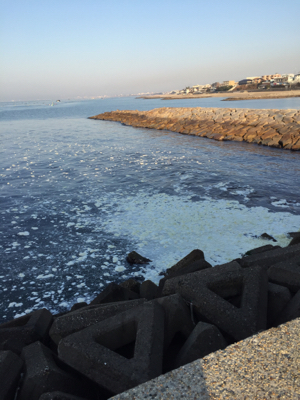 激渋です‥‥‥‥。