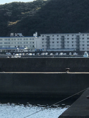 今年最後のエギング。まずはすさみで