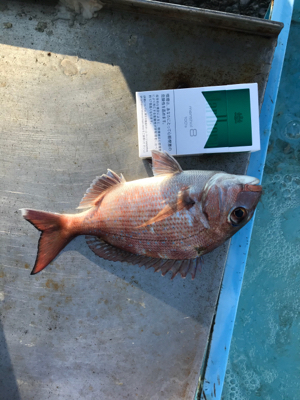 寒い、釣果も寒い(;_;)