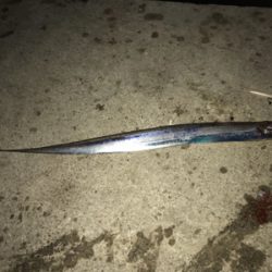 今年最後の釣行