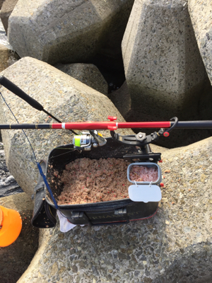 灘浜 3.4番間 フカセ