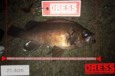 潮止まりからメバルの調子が上がる