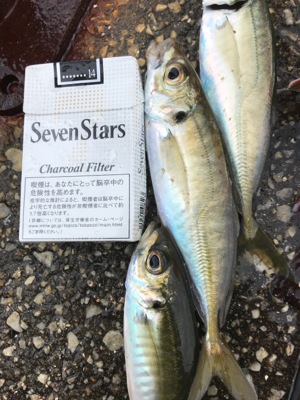 Xmasカレイならず…