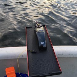 入鹿池 ワカサギ