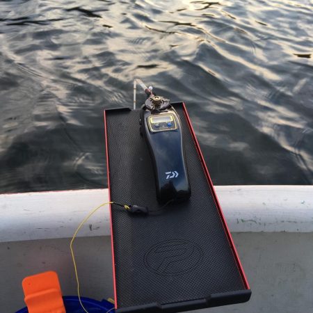 入鹿池 ワカサギ