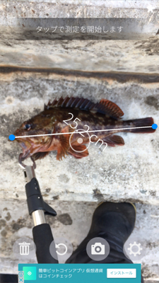 釣り納めの穴釣り