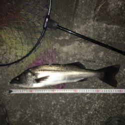 24日ぶりにε-(´∀｀; )