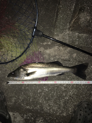 24日ぶりにε-(´∀｀; )