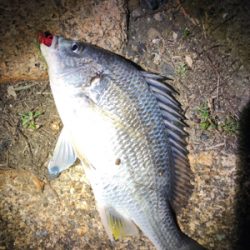 冬チニング開幕‼︎