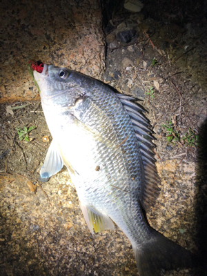 冬チニング開幕‼︎