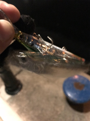 痛恨のフックアウト