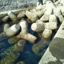 南房総トリップ