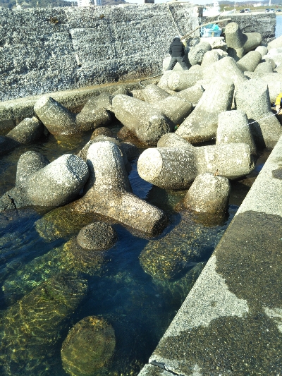 南房総トリップ