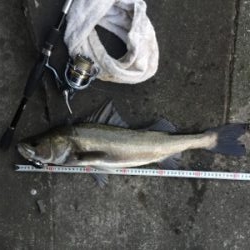 出勤前にちょっとだけ