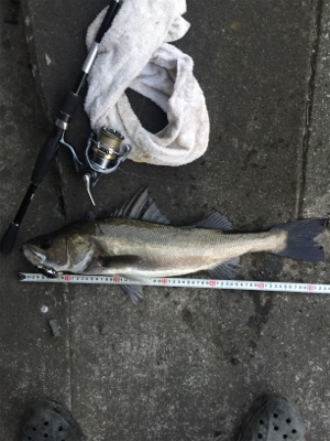 出勤前にちょっとだけ