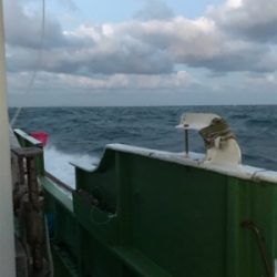 孝洋丸で落とし込み