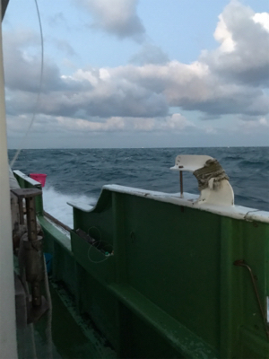 孝洋丸で落とし込み