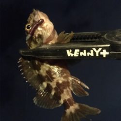 釣り納めというヤツです。