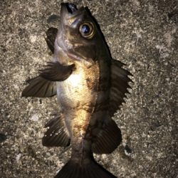 陽が落ちてから。