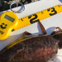 2017年の締めくくり