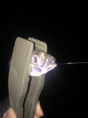 激渋パターン攻略！