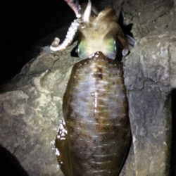 年内キロUP達成！