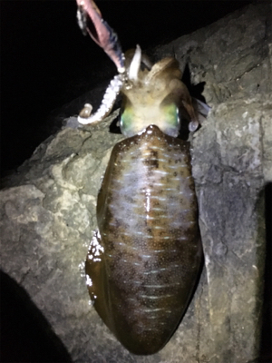 年内キロUP達成！