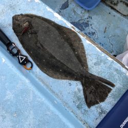 釣り納めは大原でヒラメ