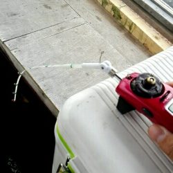 東条湖　ワカサギ釣り