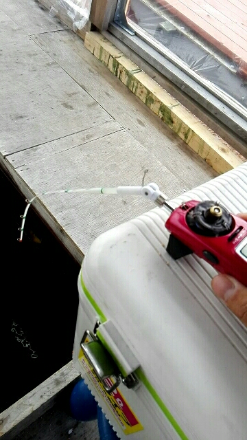 東条湖　ワカサギ釣り