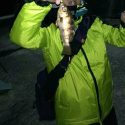 再びメバリング＆アジング