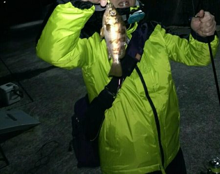 再びメバリング＆アジング